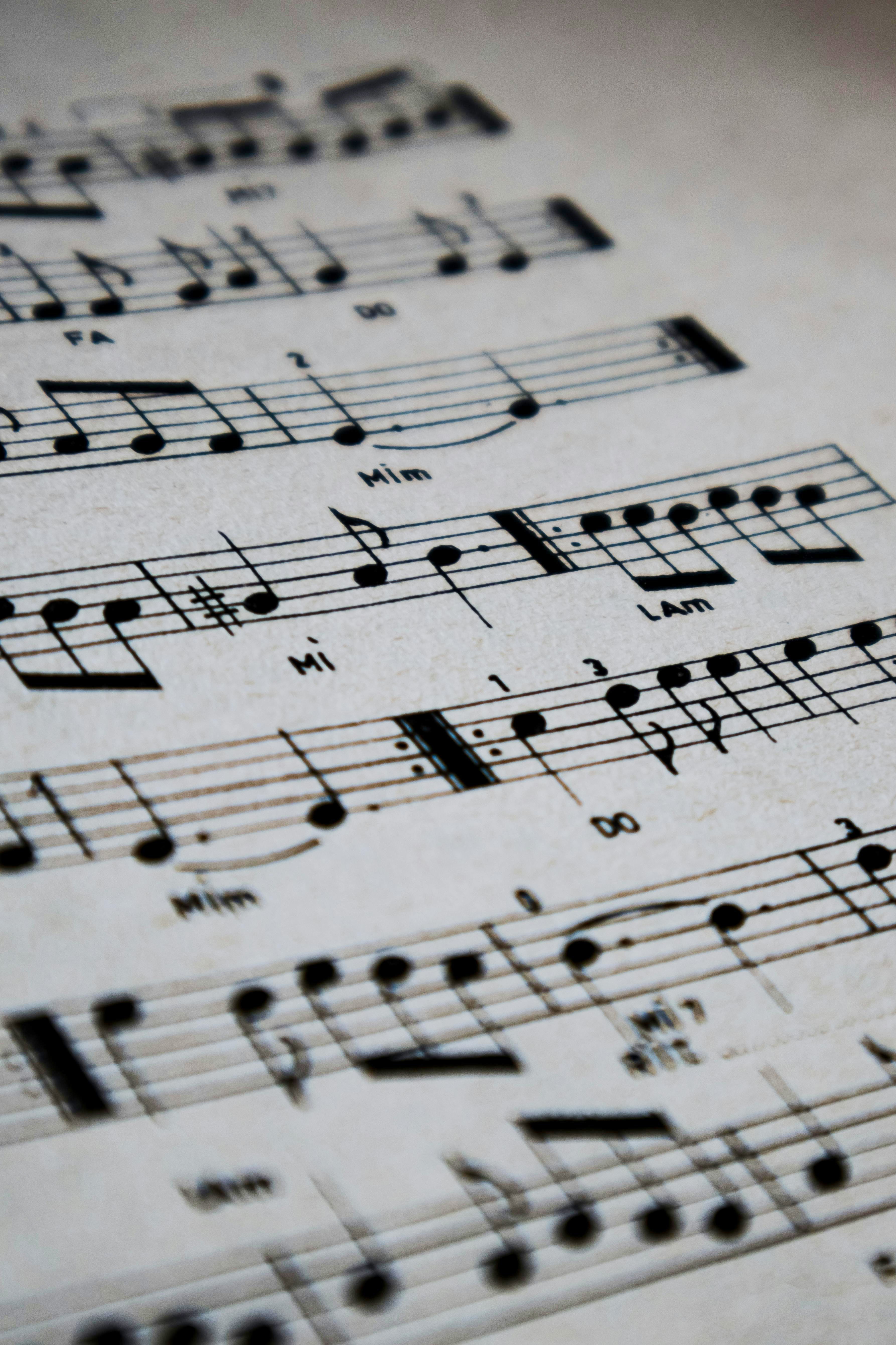 Lenguaje Musical
